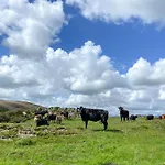 Holiday home Yan - Uk43540