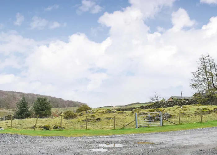 Yan - Uk43540 Spark Bridge